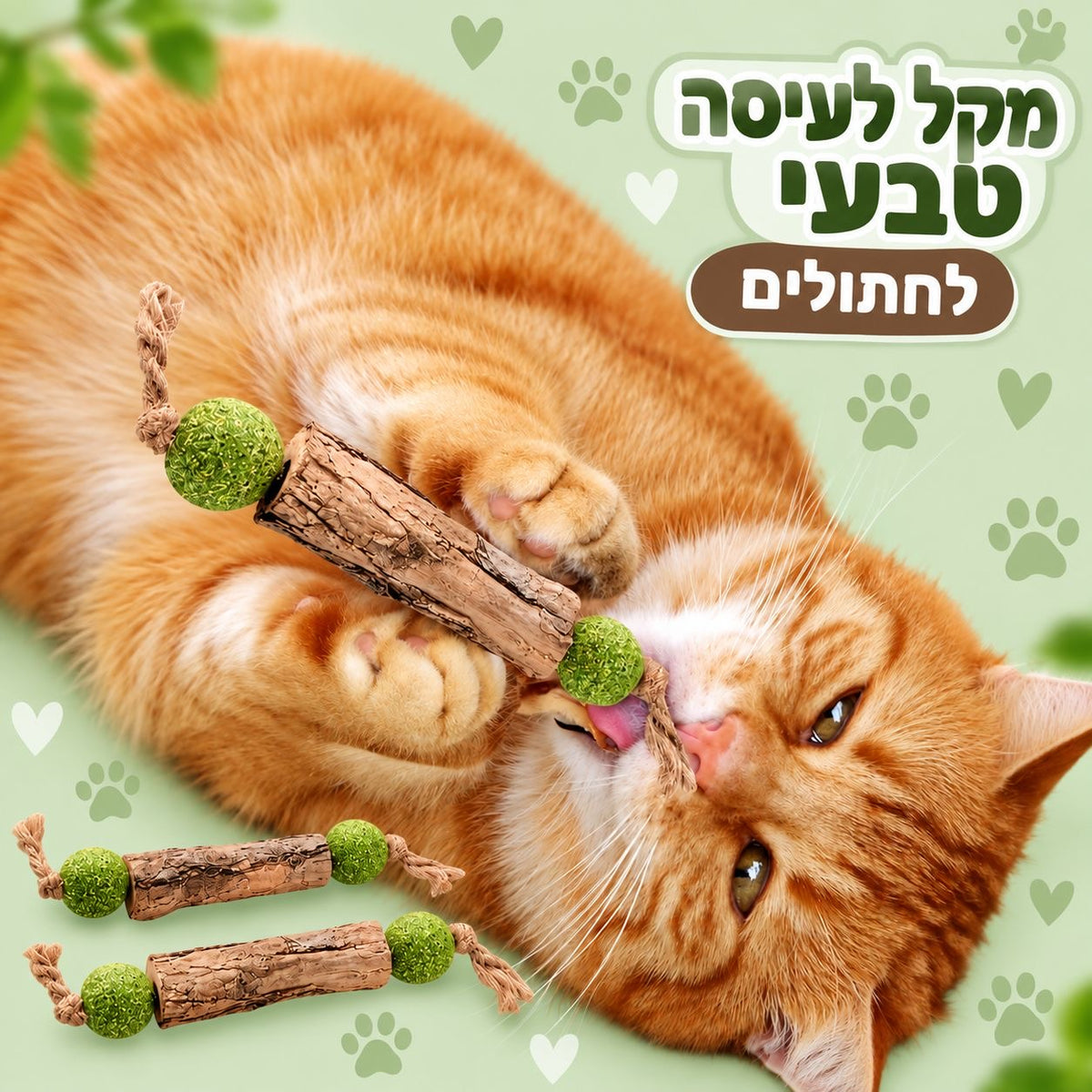מקל לעיסה טבעי לחתולים לניקוי השיניים עם מטאטאבי וקאטניפ