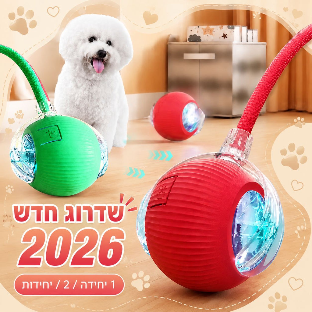 הכדור החכם שלא מפסיק לשחק – צעצוע אינטראקטיבי לכלבים