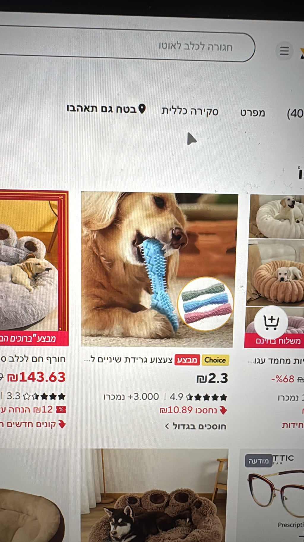 מיטה רכה לכלבים וחתולים – נוחות מושלמת לשינה רגועה