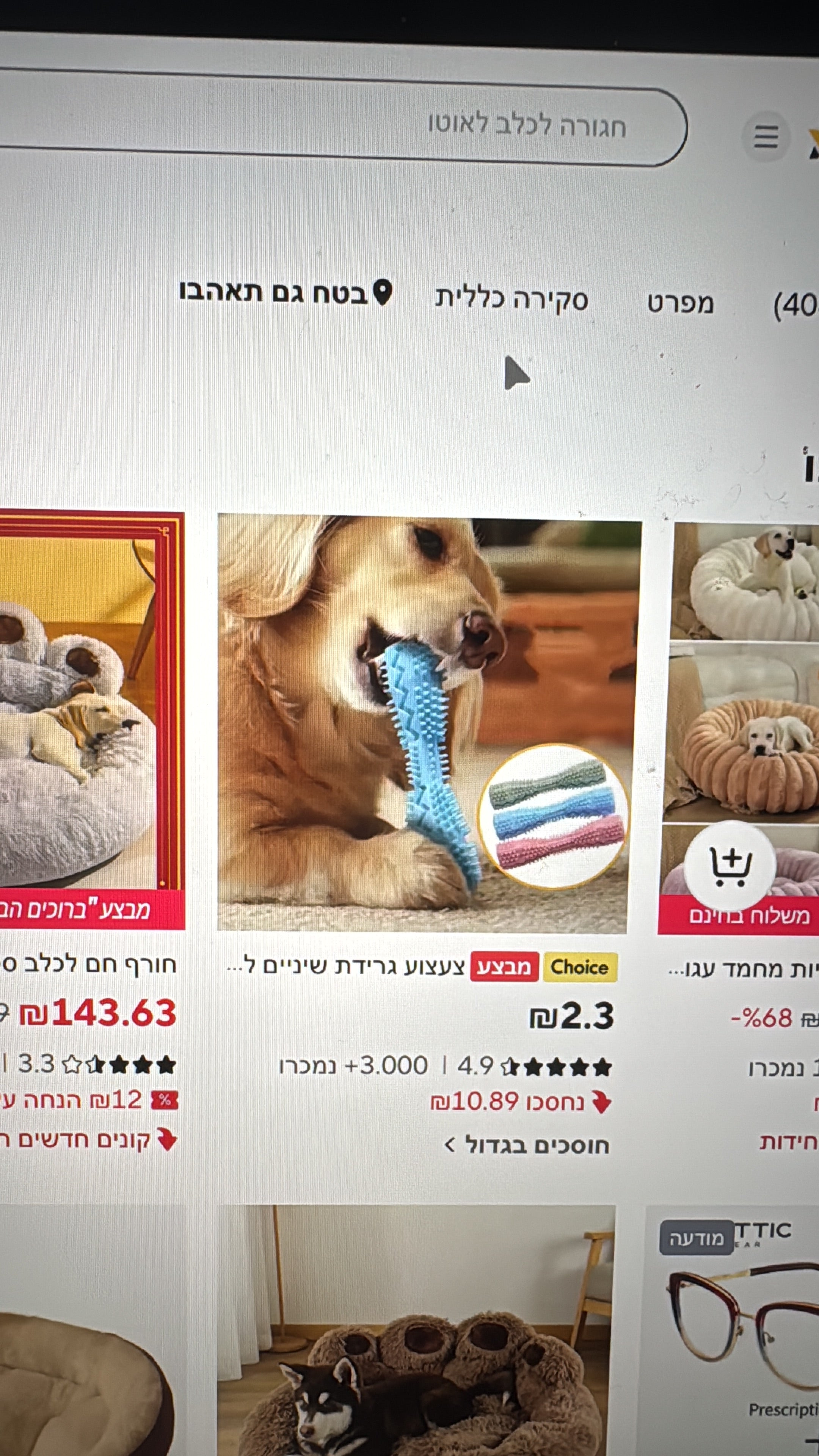 מיטה רכה לכלבים וחתולים – נוחות מושלמת לשינה רגועה