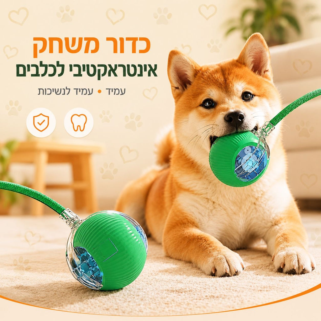 הכדור החכם שלא מפסיק לשחק – צעצוע אינטראקטיבי לכלבים