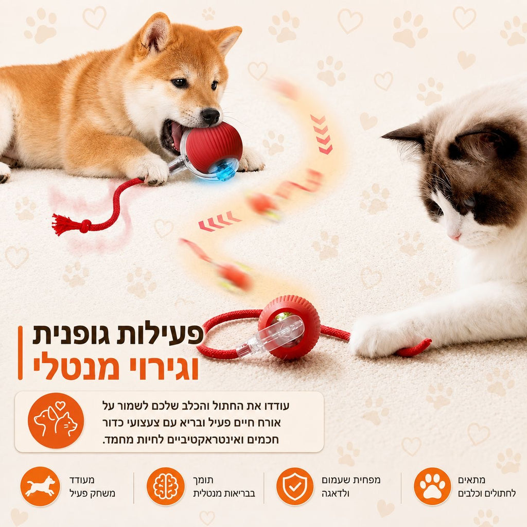 הכדור החכם שלא מפסיק לשחק – צעצוע אינטראקטיבי לכלבים