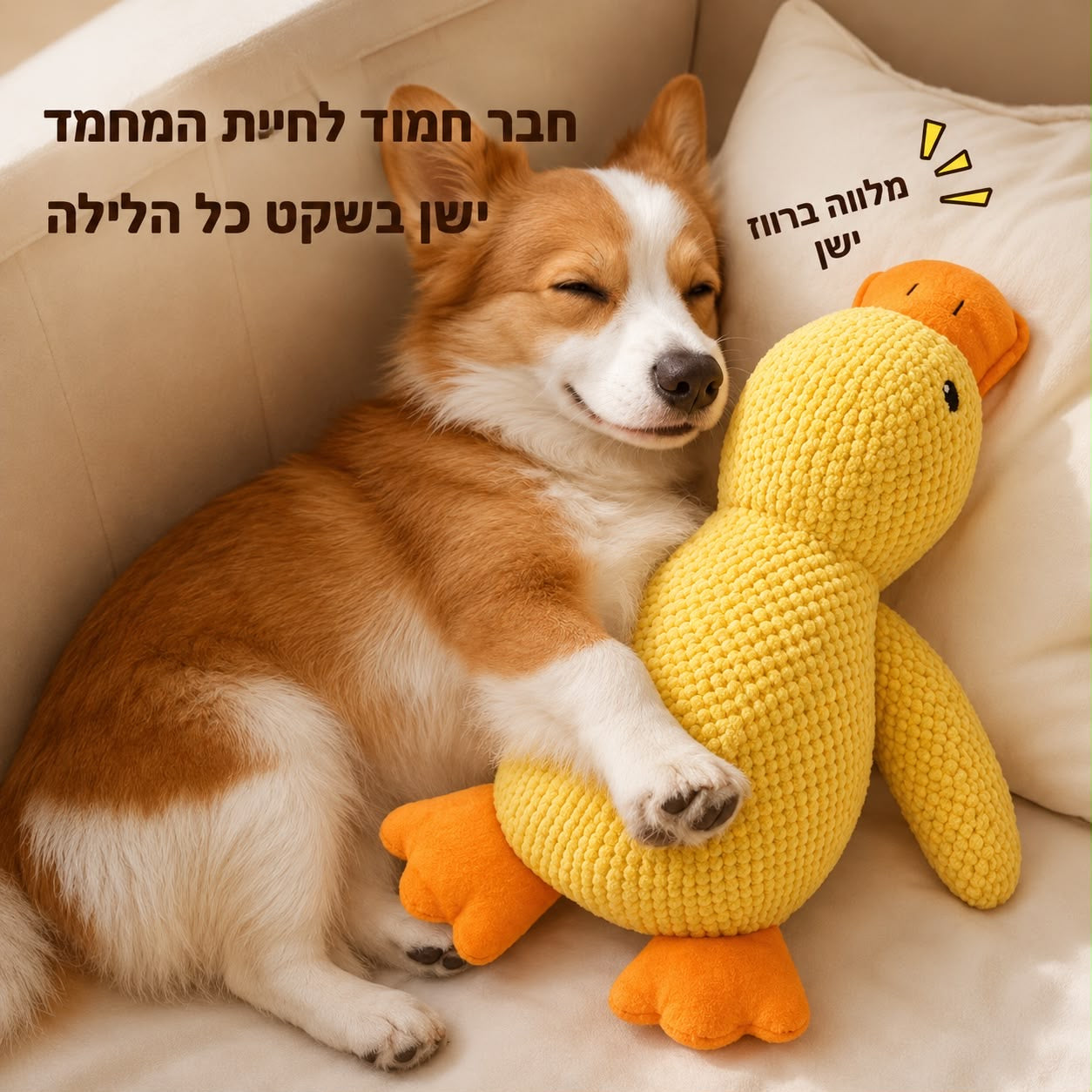 צעצוע ברווז מצפצף לכלבים – למשחק, נשיכה והפגת שעמום