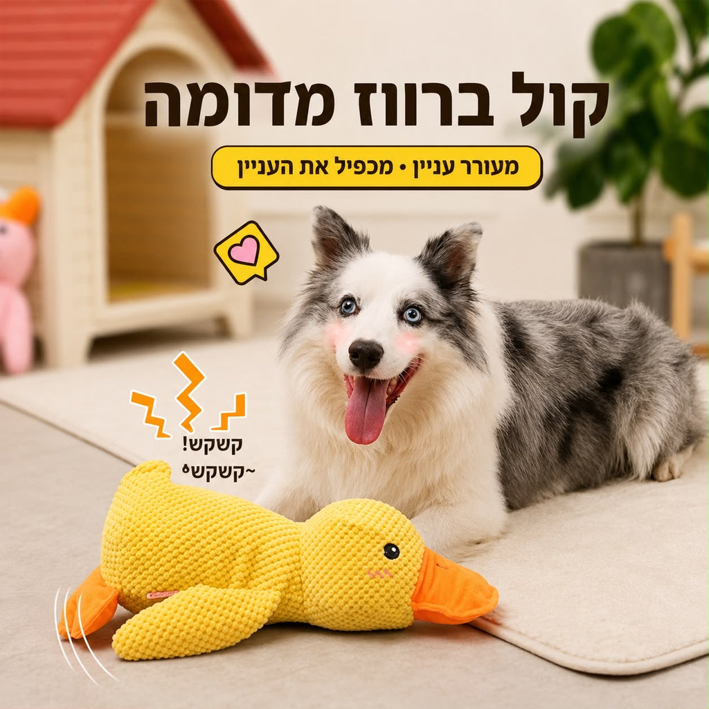 צעצוע ברווז מצפצף לכלבים – למשחק, נשיכה והפגת שעמום