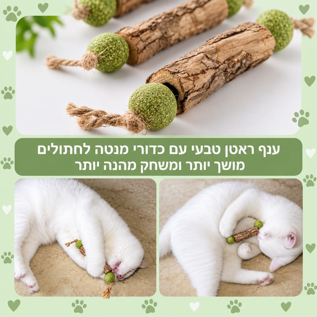 מקל לעיסה טבעי לחתולים לניקוי השיניים עם מטאטאבי וקאטניפ