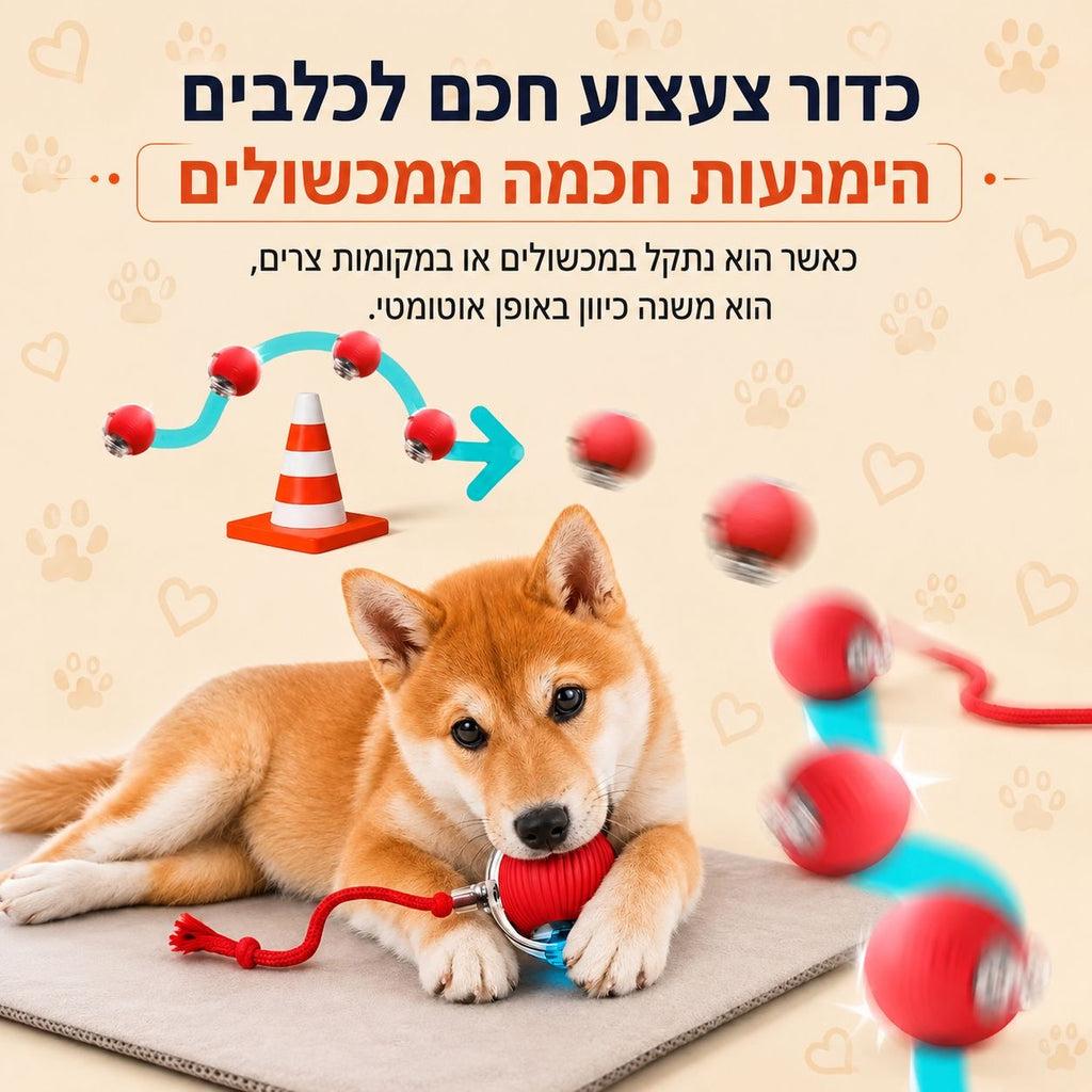 הכדור החכם שלא מפסיק לשחק – צעצוע אינטראקטיבי לכלבים