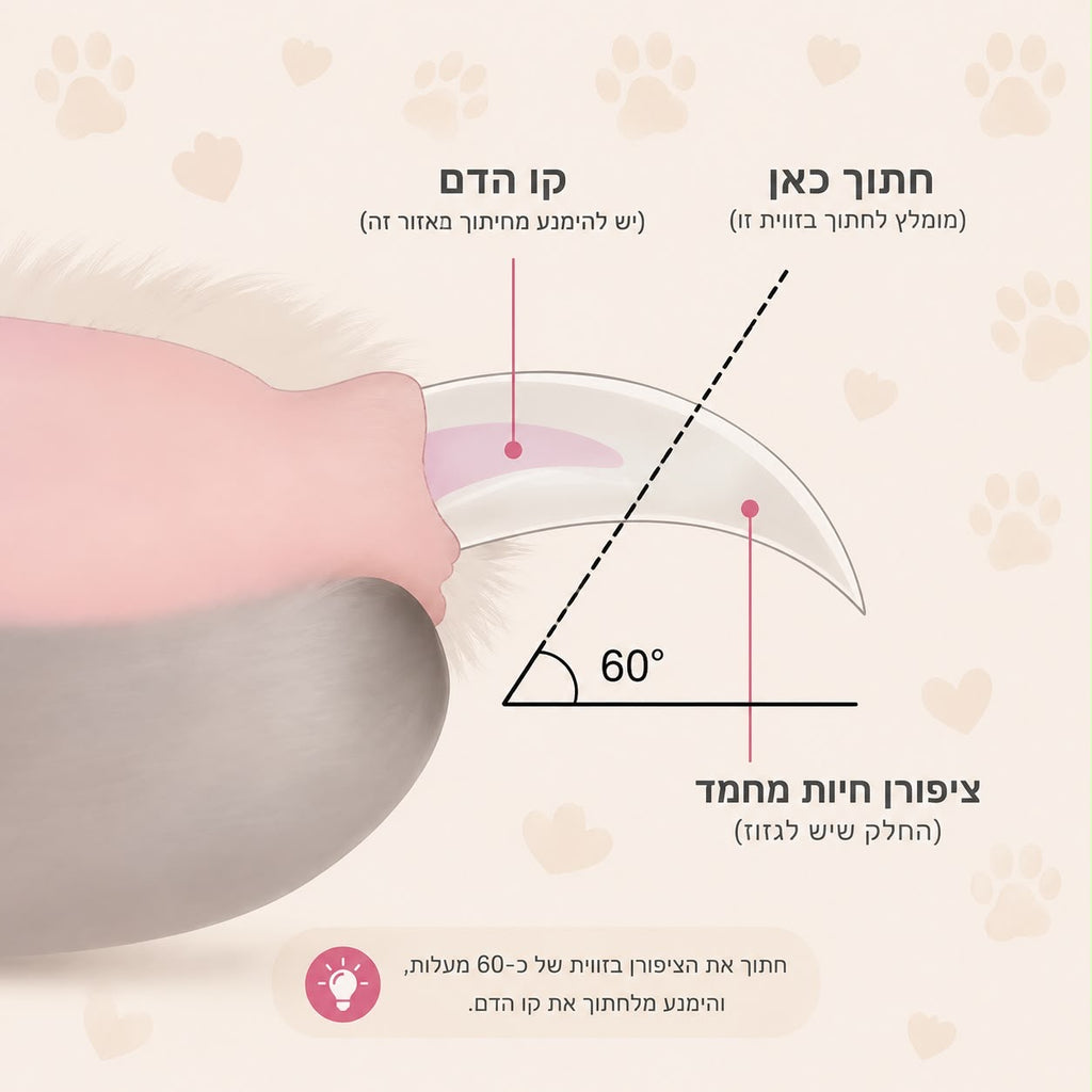 LED קוצץ ציפורניים מקצועי לחיות מחמד עם תאורת