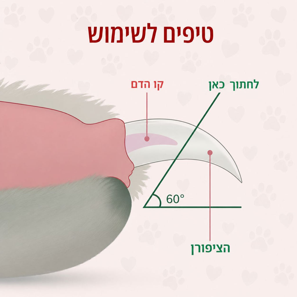 קוצץ ציפורניים מקצועי לחיות מחמד עם תאורת LED