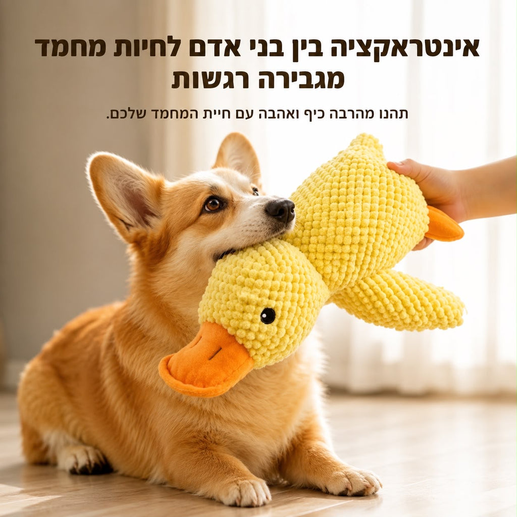 צעצוע ברווז מצפצף לכלבים – למשחק, נשיכה והפגת שעמום